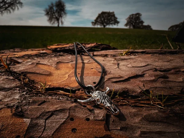 Silver bull skull pendant on a black waxed cord resting on rugged tree bark, with a grassy field and silhouetted trees in the background under a moody sky.